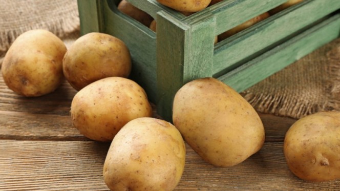 Можно ли мыть картофель перед хранением на зиму