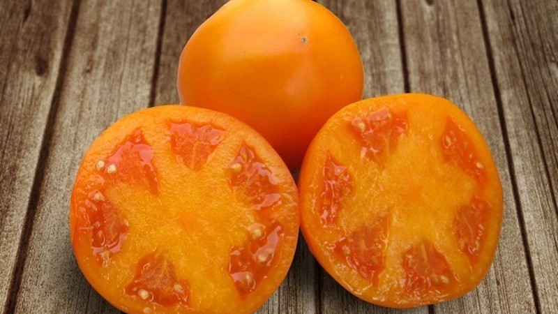 Сорт Айсан: японские желтые томаты