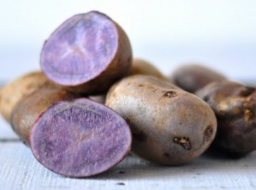 Фиолетовый картофель: сорта и правила выращивания
