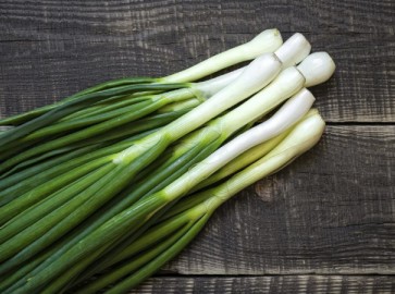 Как правильно хранить зеленый лук в свежем виде