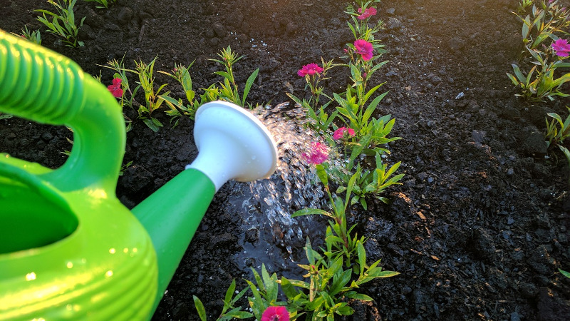 Полив цветов