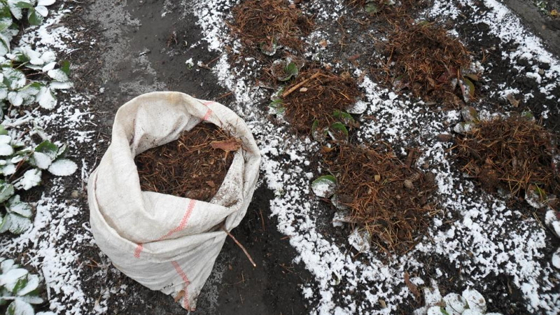 Укрытие цветов на зиму