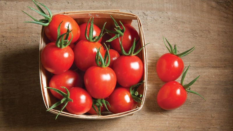 Можно ли помидоры хранить в холодильнике