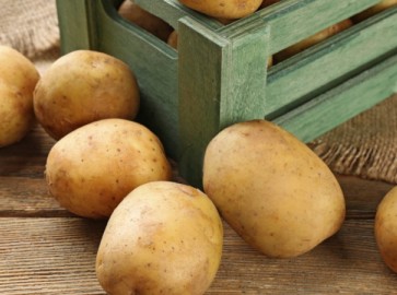 Можно ли мыть картофель перед хранением на зиму