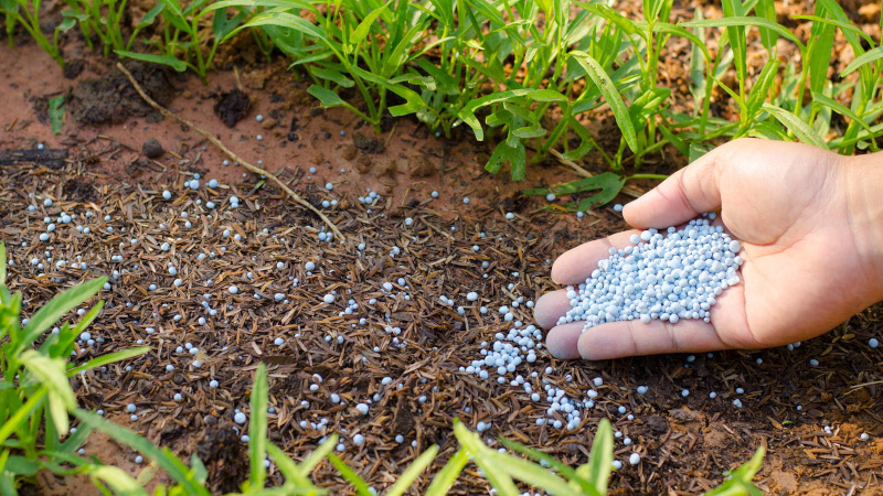 Минеральные удобрения для почвы