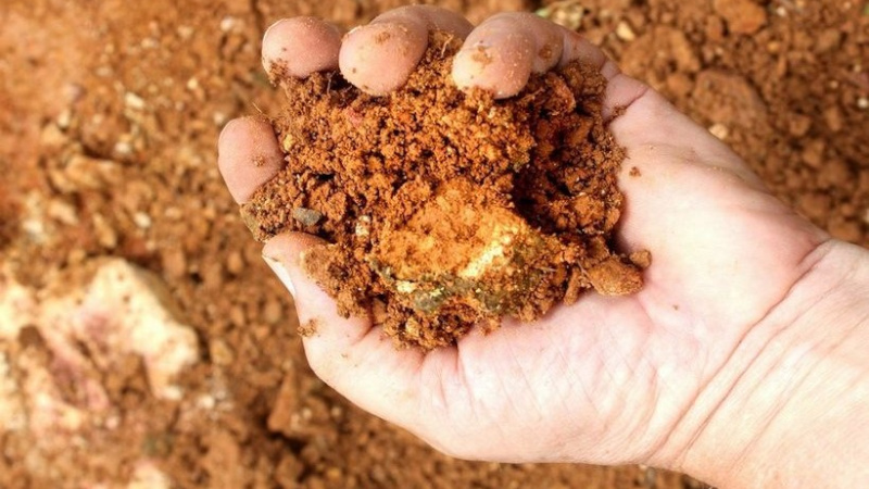 Глиняная почва